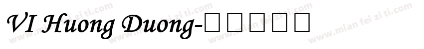 VI Huong Duong字体转换